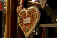 003-IMG_06041024x682x721024x682x72